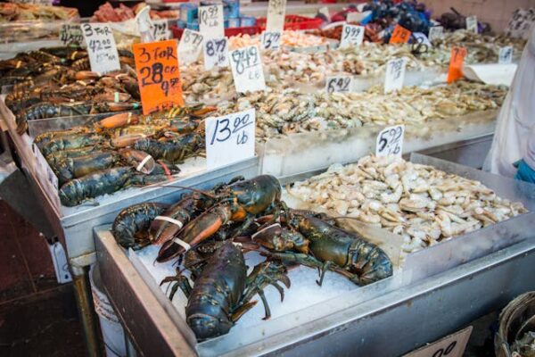 crazy things you can buy with ebt - live lobster