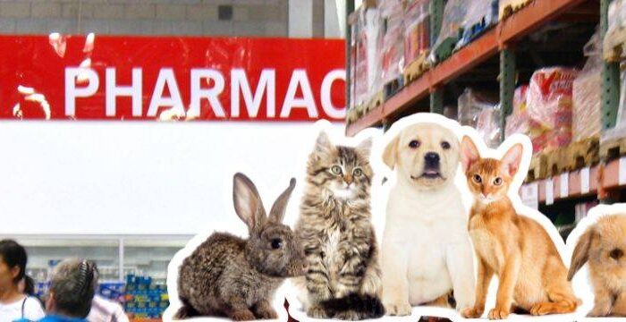 Pet Prescriptions at Costco